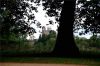 DSCF3253_small.JPG